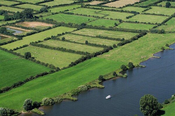 foto De Maas en Maasheggen