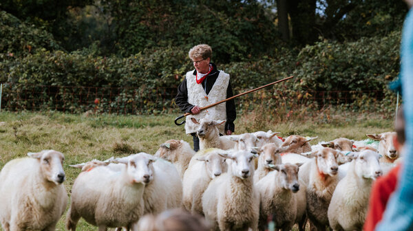 600 kinderen op Natuurfeest Tongelaar